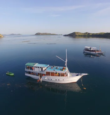 Komodo Island: A Journey to the Land of Dragons