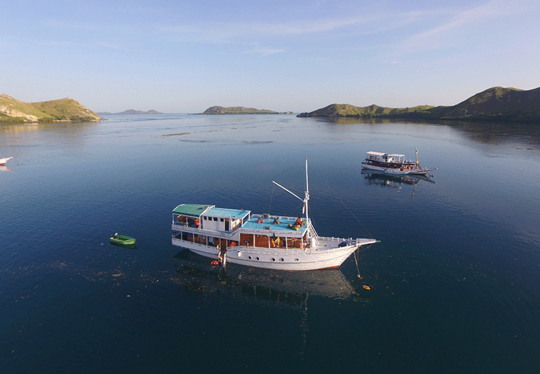 Komodo Island: A Journey to the Land of Dragons